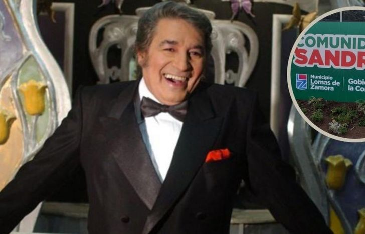 Sandro pasó a la inmortalidad el 4 de enero de 2010, a los 64 años.