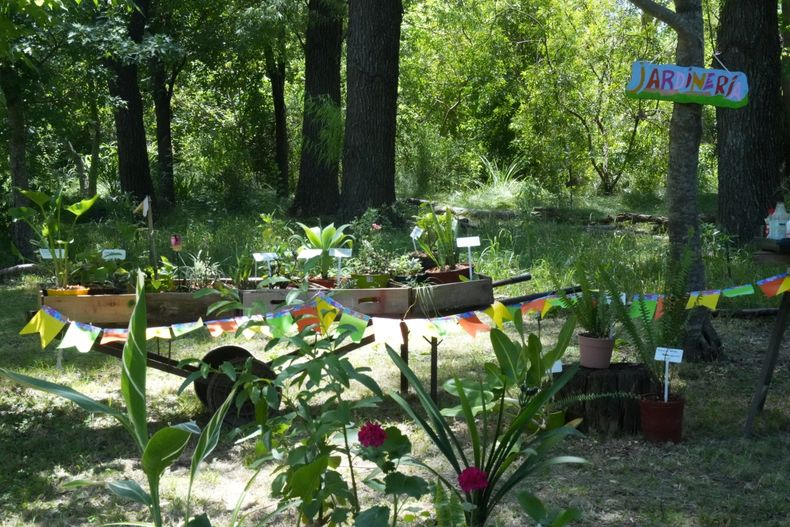 La escuela tiene un predio de 4 hectáreas con jardín, viveros, invernáculos, laguna y senderos.