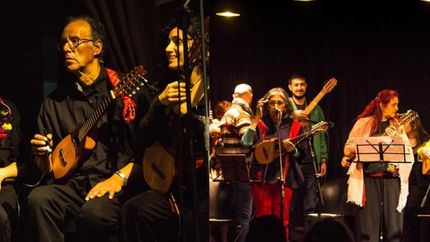 preparan un encuentro nacional de charanguistas en lomas de zamora