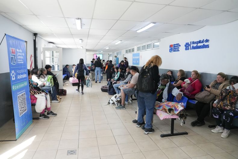 El Hospital de Animales est&aacute; sobre la Avenida 12 de Octubre al 1100.