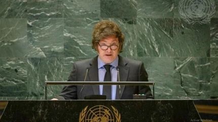 milei retira al pais del consejo de derechos humanos de la onu