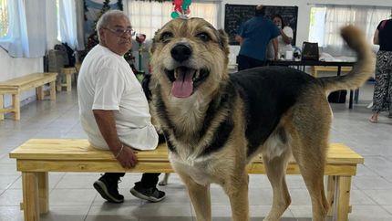 Durante la primera jornada se atendieron a más de 100 mascotas.