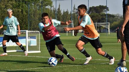 Los chicos entrenan en el predio de Ezeiza. Los chicos entrenan en el predio de Ezeiza.