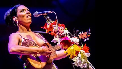 la grilla del festival de cosquin 2020 se va completando