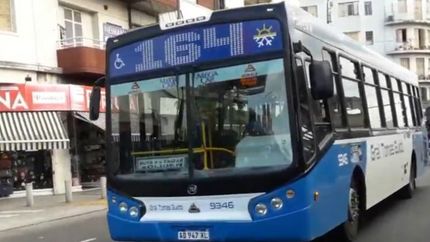 Choferes no descartan realizar medidas de fuerza.