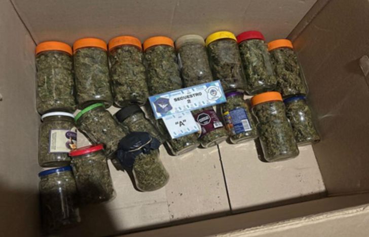 Frascos de marihuana incautadas.