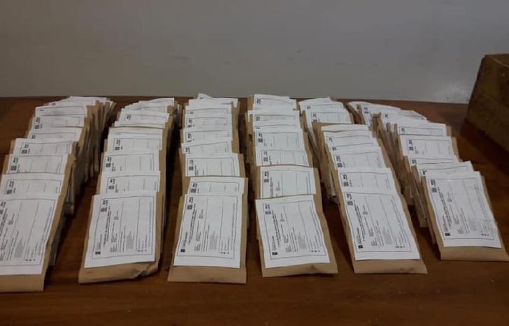 entregaron semillas de la temporada primavera-verano.