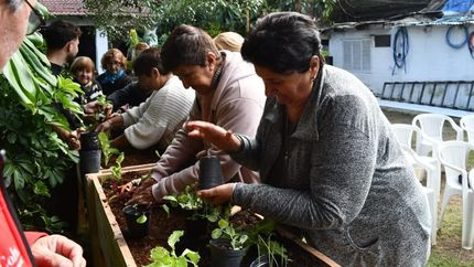 Cada vez más vecinos aprendan a cultivar y cosechar alimentos.