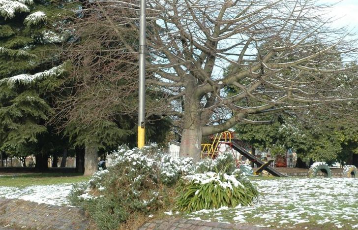 La Plaza Libertad, con nieve.