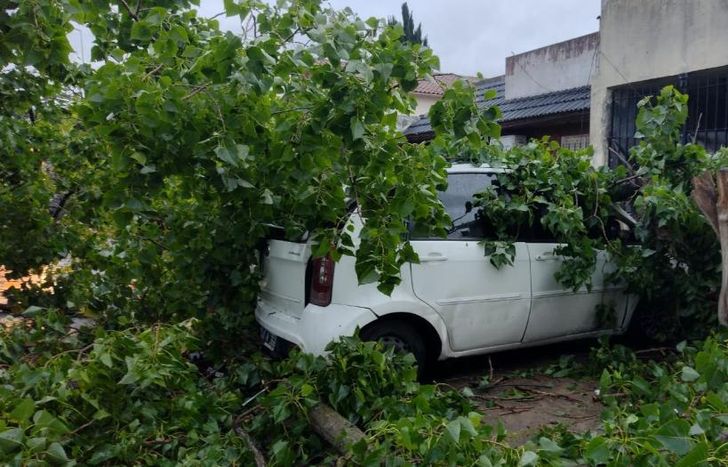 El auto sufrió varios daños, pero afortunadamente no hubo heridos.