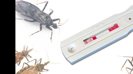 el proyecto está en marcha.