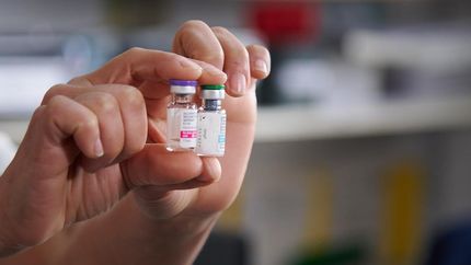 Se acerca la época de mayor proliferación del mosquito Aedes Aegypti.