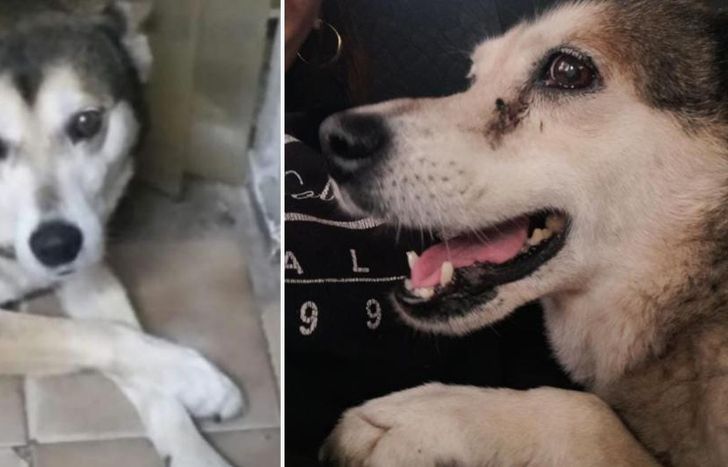 Ramona tenía alrededor de 10 años y era querida por todos los vecinos.