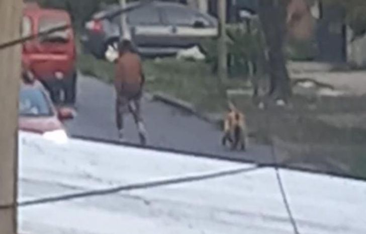 El maltratador quedó filmado en un video.