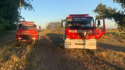 Se generó un operativo en conjunto.