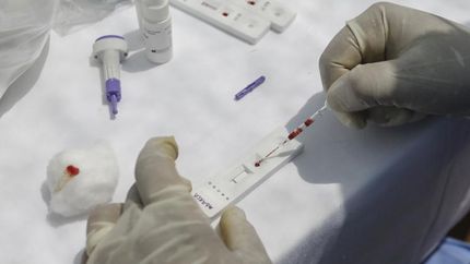 Destacan los primeros test serológicos fabricados en el país.