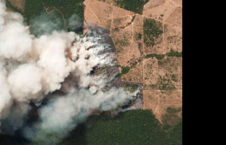 Entre enero y julio, se incrementaron en un 84% los focos en la región amazónica.