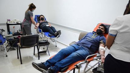 Colecta de sangre. Colecta de sangre.