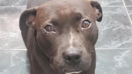 Diario La Unión | 1124446.jpg