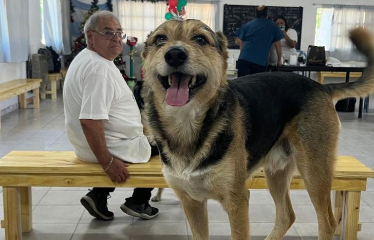 Durante la primera jornada se atendieron a más de 100 mascotas.