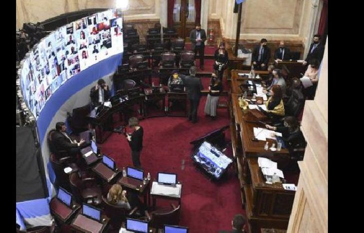 El Senado sesionó de forma remota.