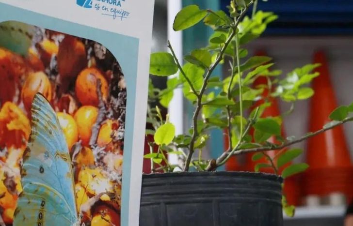 Para los chicos en vacaciones.