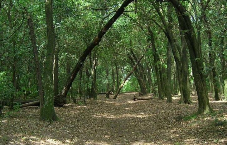 Será un encuentro abierto a la comunidad.