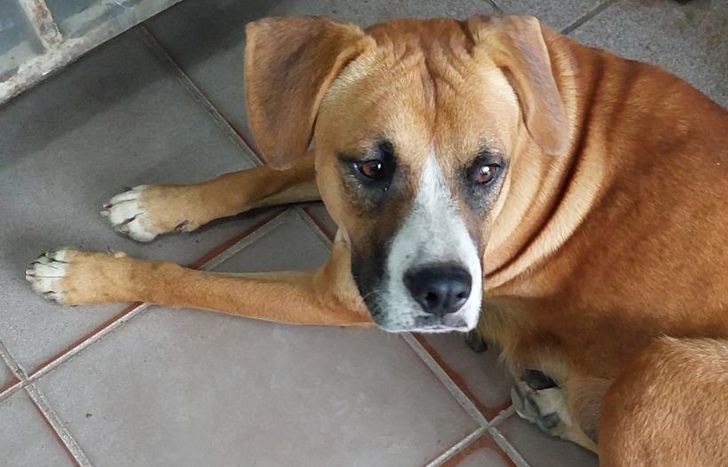 La mamá y sus hijos están en situación de abandono y maltrato.