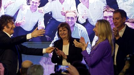 milei hablo de milagro: tendremos el congreso mas reformista de la historia