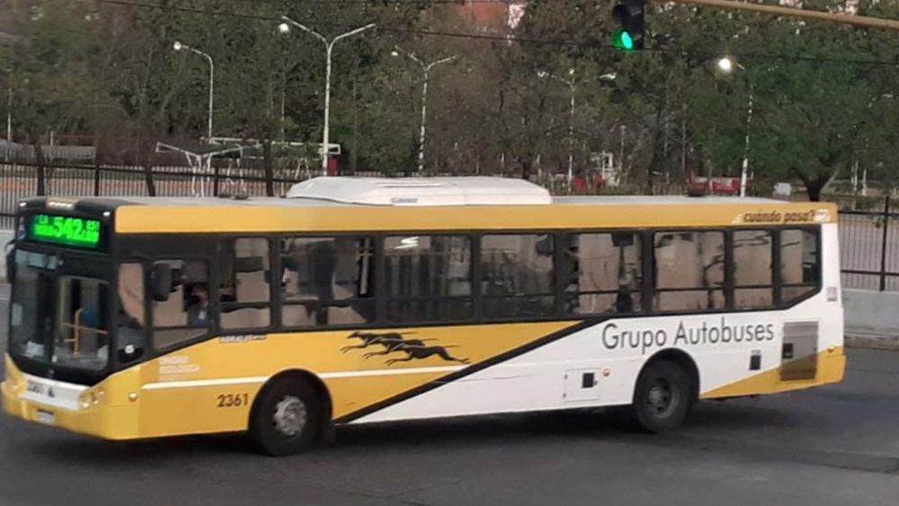 Fue a bordo de un colectivo de la línea 542.