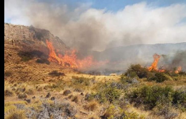las llamas parecen incontrolables y hay preocupación en la zona.