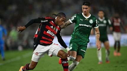 Copa Libertadores 2025: la final es entre Flamengo - Palmeiras.