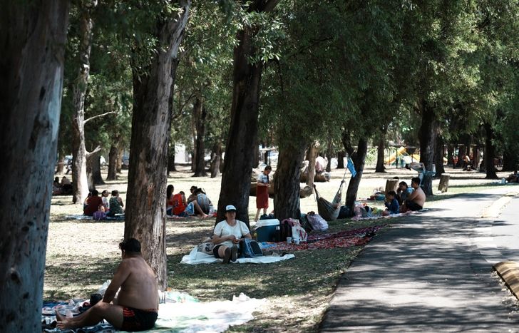 El festejo será en el Parque de Albertina.