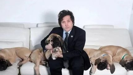 no podran avanzar con la privatizacion del banco nacion