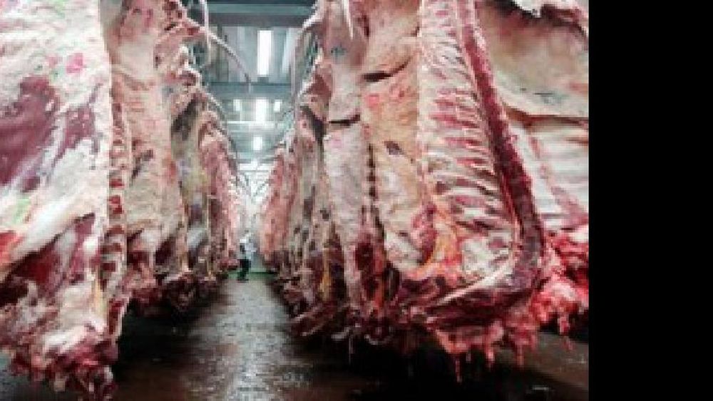 Argentina concretó el primer embarque de carne vacuna a Filipinas