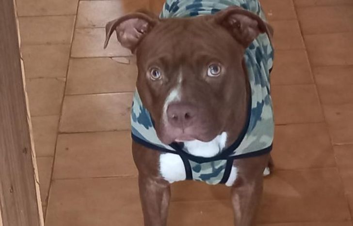 Tiene que volver a su hogar.