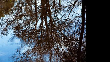 proponen un viaje fotografico entre las misticas islas del delta