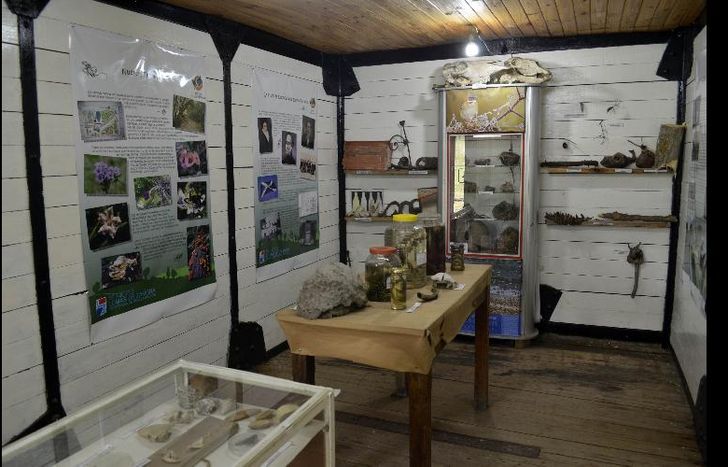 fósiles, restos arqueológicos, fotos y bibliografía.