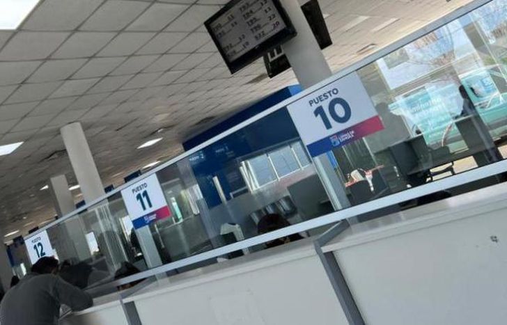 Gestionan licencias originales, duplicados, renovaciones, ampliaciones y reemplazos.