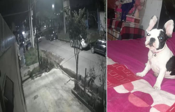 Una cámara de seguridad registró el momento del choque.