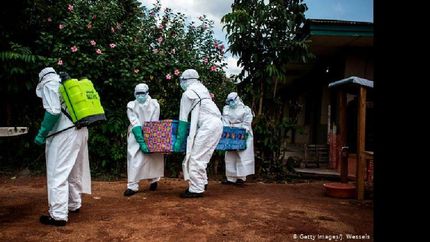 En 2014 hubo 11 mil muertos por un brote de ébola a nivel global.