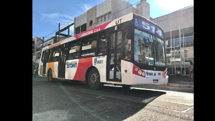 brown: mejoran el transporte publico con nuevos colectivos