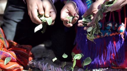 Brindarán la posibilidad de ver la ceremonia a la Pachamama en Lomas.