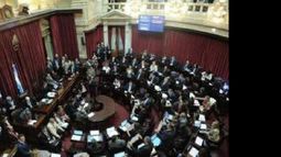 senado