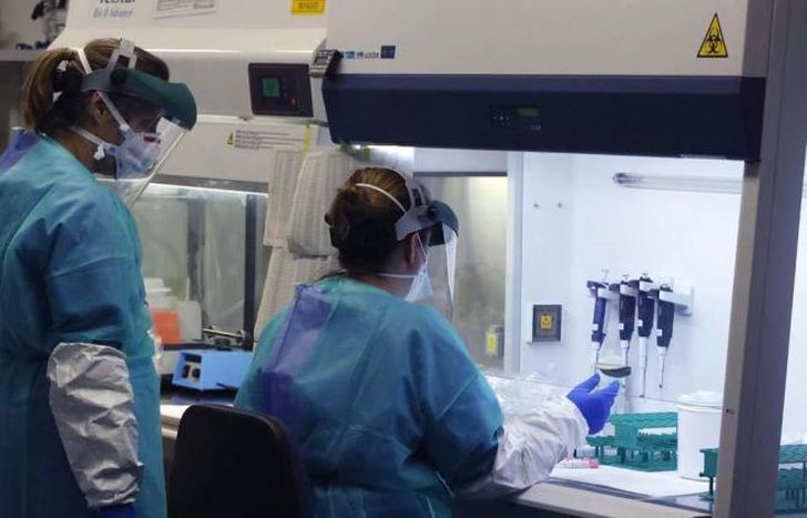 Suman 1.262.476 los contagiados desde el inicio del brote.