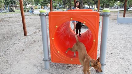 Los parques para mascotas mejoran la relación animal-humano.