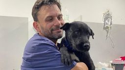 Hernán vacunaba a las mascotas y se encargaba de las adopciones.