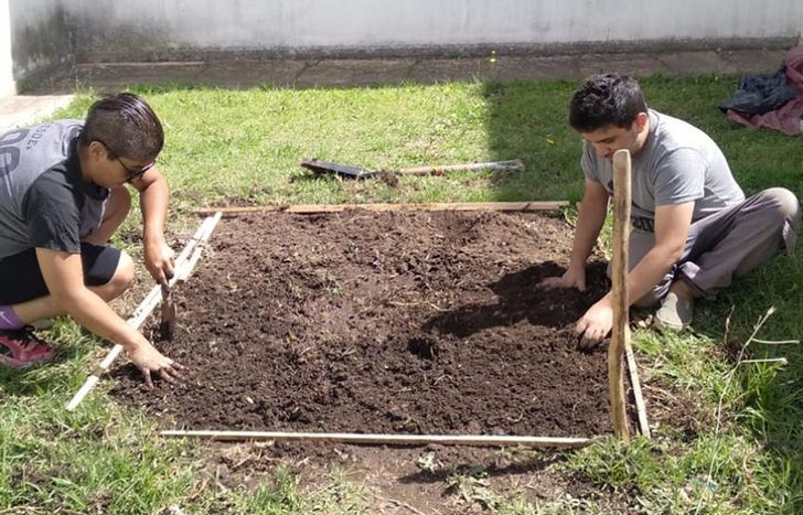Los martes y viernes habrá un taller de huerta.