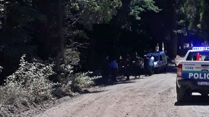 El vecino de Temperley fue hallado sin vida bajo los pinos.