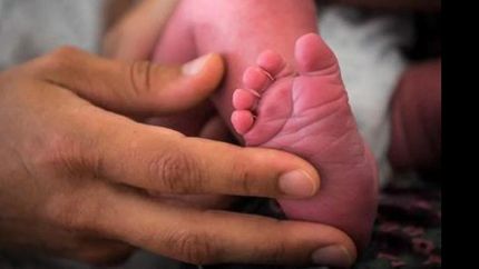 fueron acusados del delito por un vecino de la pareja.